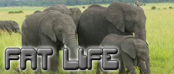 FatLife.png