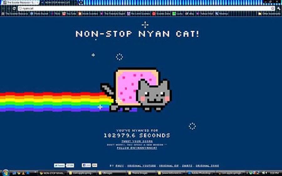 non-stopnyancat-1.jpg