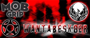 wantabesk8er.png