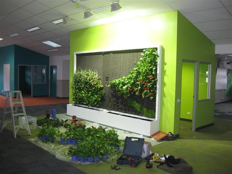 Lushe | Melbourne Vertical Garden Specialist