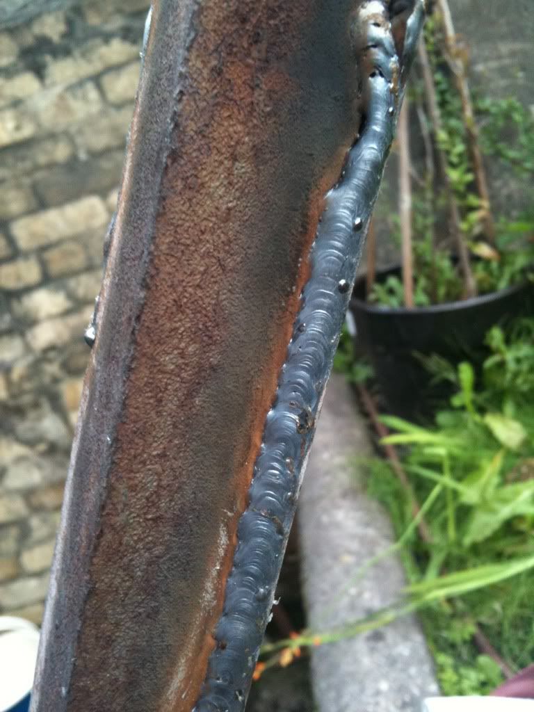 photo1.jpg