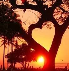 Heart With Sunset