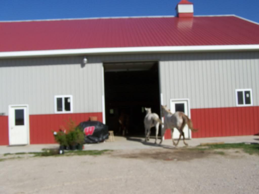 Homestead Pictures Thread.. - Homesteading Questions