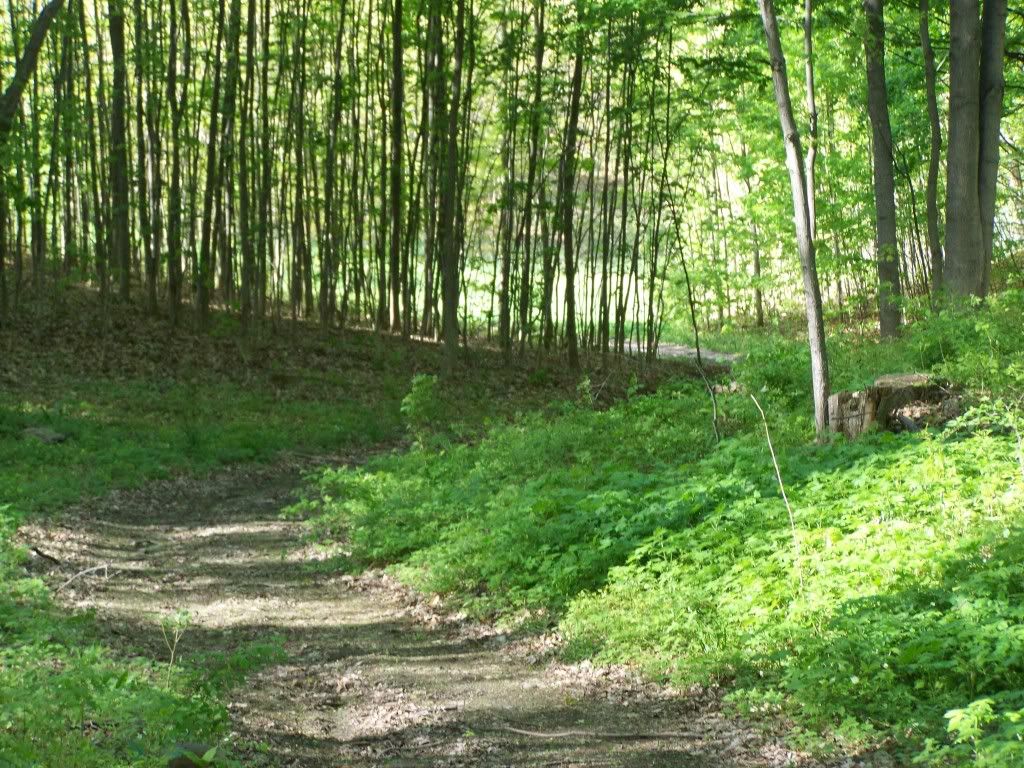 Homestead Pictures Thread.. - Homesteading Questions