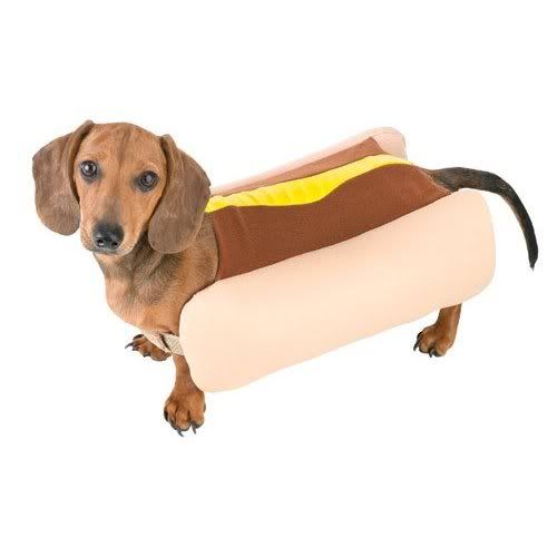 pet costumes photo: Hot dog costumes for dogs-medium Smallhotdogcostumefordogs.jpg