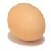 egg photo: egg egg.jpg