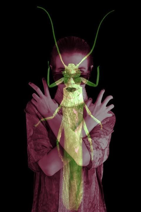 Hayley Bayliffe photography,Helle Weston Stylist,Anouk Rondell 62 Models,Renegade House