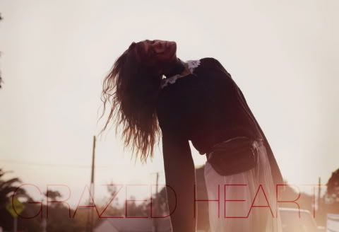 grazed heart renegade house
