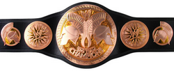 WWE Tag Team Champion WWE Tag Team Champion