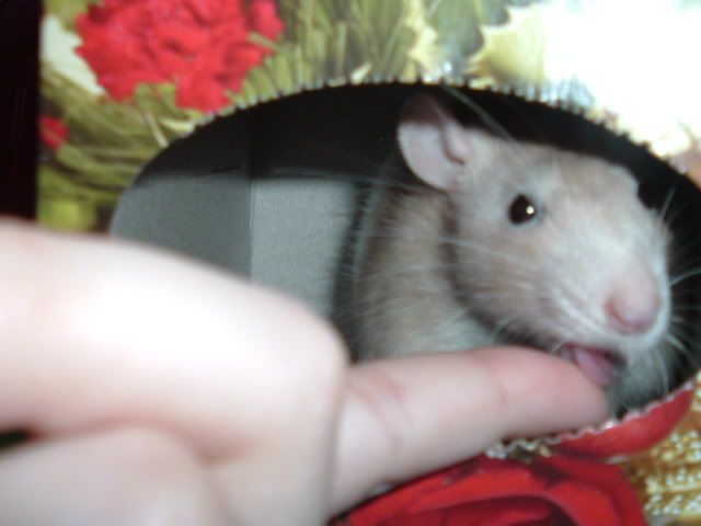 DSCF0863.jpg