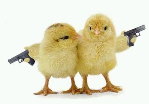 naked-chicks-with-guns.jpg