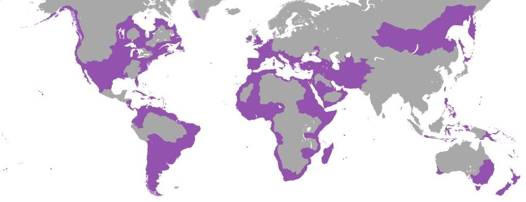 EU3_MAP_BYZ_152278_1.jpg