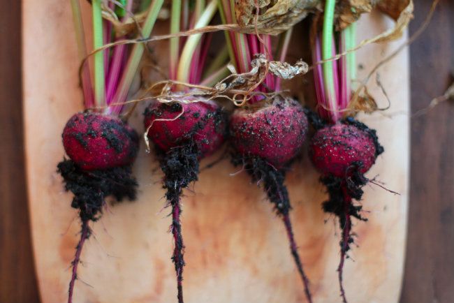 Bright Side Up: Power of Beetroot
