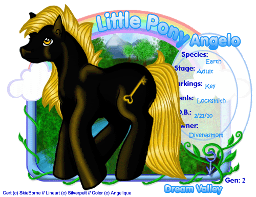 User Image