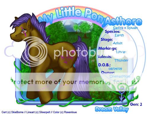 User Image