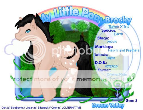 User Image