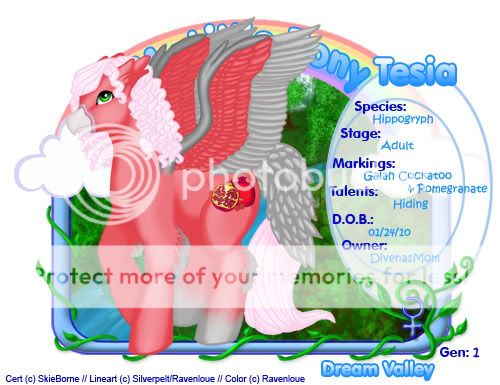 User Image