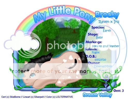 User Image
