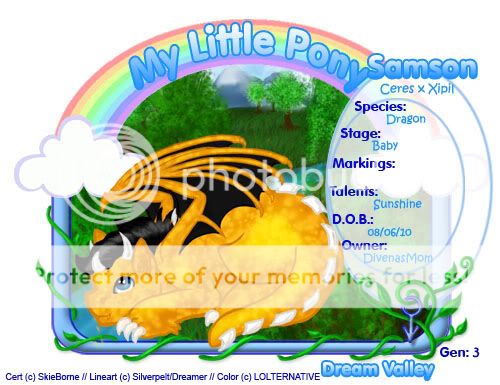 User Image