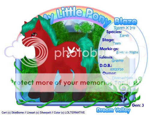 User Image