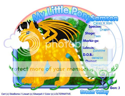 User Image