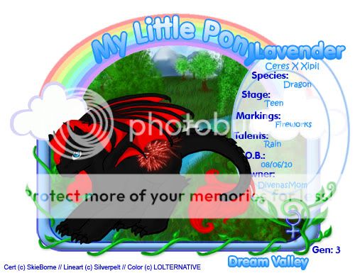 User Image