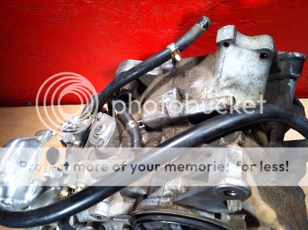 Honda Ruckus NPS50 Scooter Engine Motor Assembly Parts/Repair @ Moped