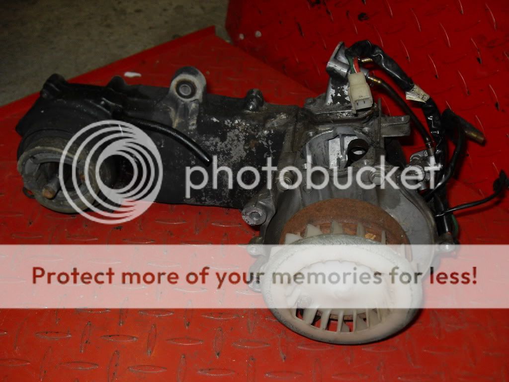 Honda Spree Engine Motor Parts 50cc   Moped Motion  